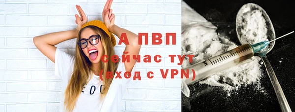 ешки Вяземский