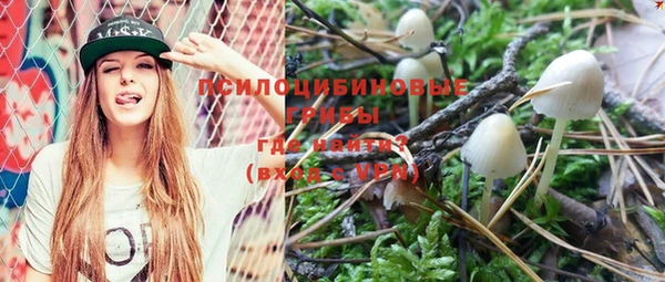 ешки Вяземский
