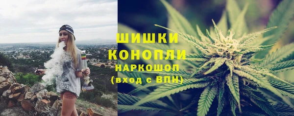 ПСИЛОЦИБИНОВЫЕ ГРИБЫ Горнозаводск