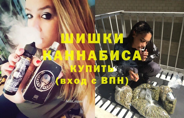 ПСИЛОЦИБИНОВЫЕ ГРИБЫ Горнозаводск