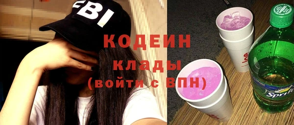 ешки Вяземский