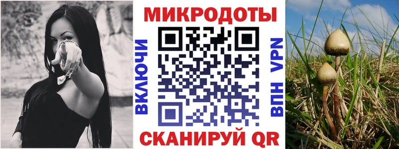 наркошоп  OMG вход  Псилоцибиновые грибы Psilocybine cubensis  Артём 